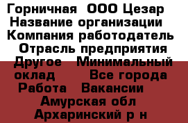 Горничная. ООО Цезар › Название организации ­ Компания-работодатель › Отрасль предприятия ­ Другое › Минимальный оклад ­ 1 - Все города Работа » Вакансии   . Амурская обл.,Архаринский р-н